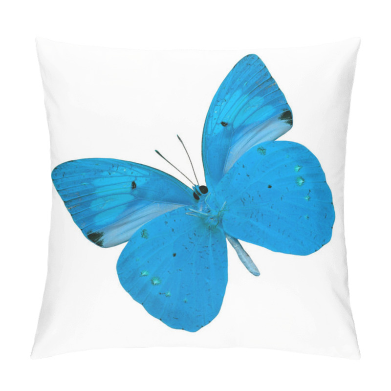 Personality  Best Of Blue Butterfly Isolated On White Background Pillow Covers