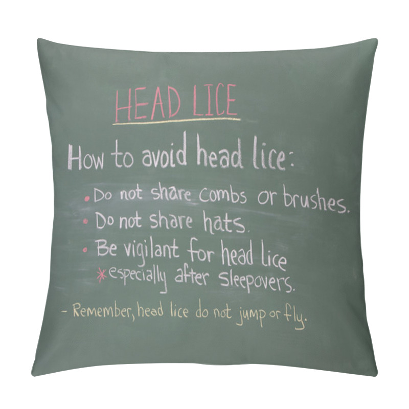 Personality  Head Lice Information On Chalkboard Pillow Covers