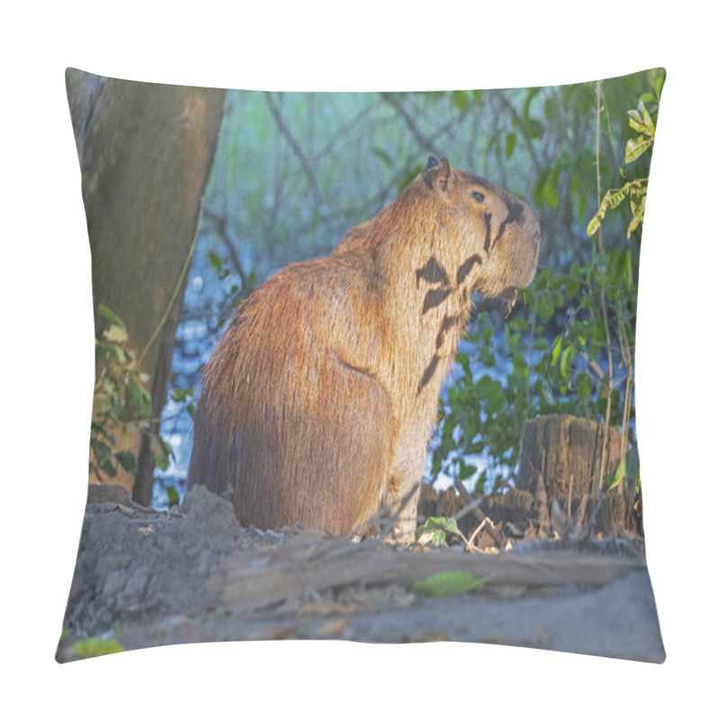 Personality  Capybara On A Secluded River Bank Pillow Covers