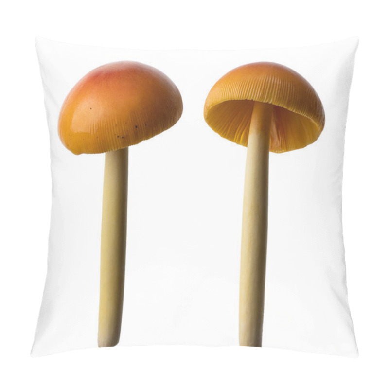 Personality  Amanita Hemibapha Mushroom, Wild Mushroom Isolated On White Background, With Clipping Path Pillow Covers