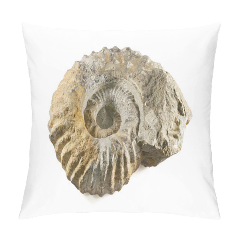 Personality  Fossil Pillow Covers