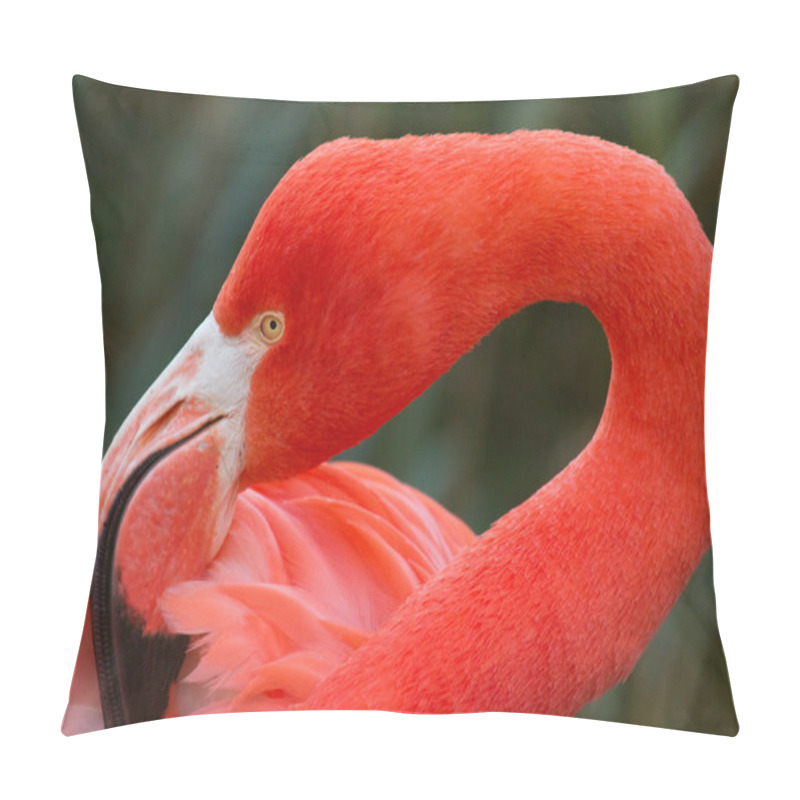 Personality  Flamingo Pillow Covers