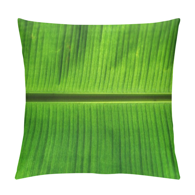 Personality  Close-up Of A Vibrant Green Banana Leaf Texture. Pillow Covers