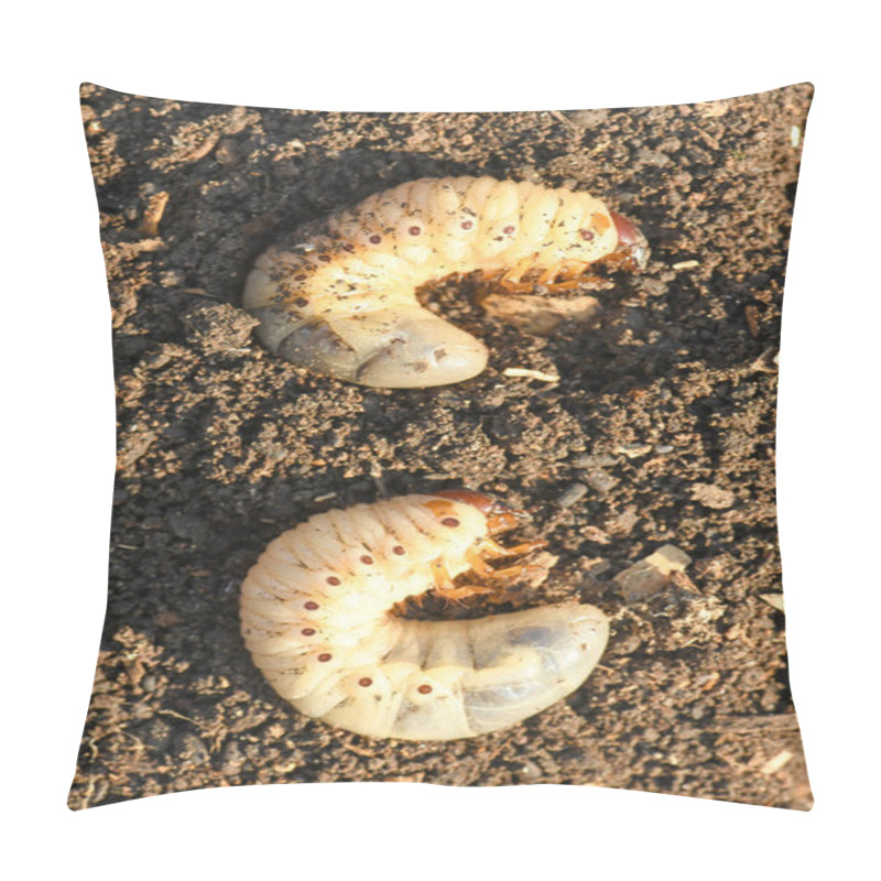 Personality  Larva Of Two May Beetle Pillow Covers