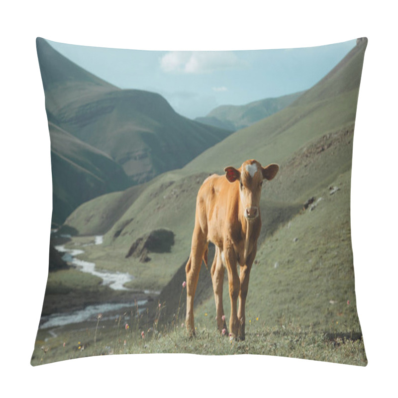 Personality  The Calf Grazes In A Picturesque, Mountain Valley. Pillow Covers