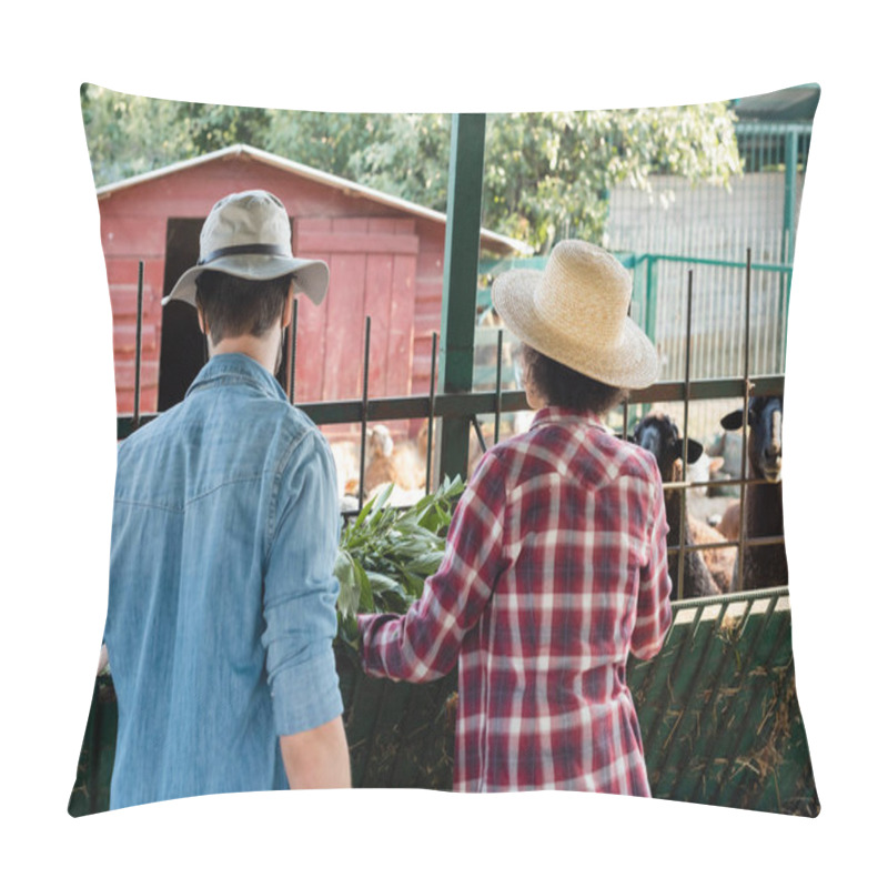 Personality  Back View Of Interracial Farmers Near Manger And Sheep On Farm Pillow Covers