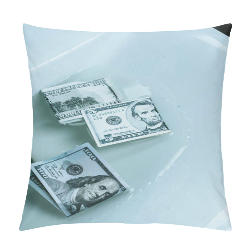 Personality  Top View Of Dollar Banknotes In Water In Sink Pillow Covers