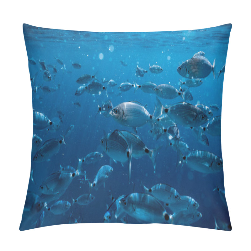 Personality  Ringel Bream Under Water, Under Water Photography Of Ocean Fish In Croatia, Fish Swarm Close Up Photo, Amazing Blue Ocean With Little Fish In It, Pillow Covers