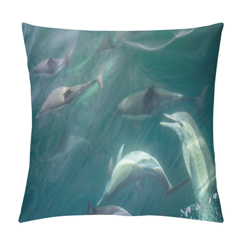 Personality  Group Of Dolphins Underwater Swimming In Ocean Pillow Covers