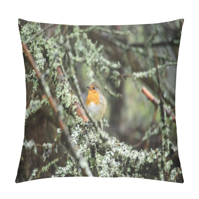 Personality  Birds Nesting In Bushes Pillow Covers