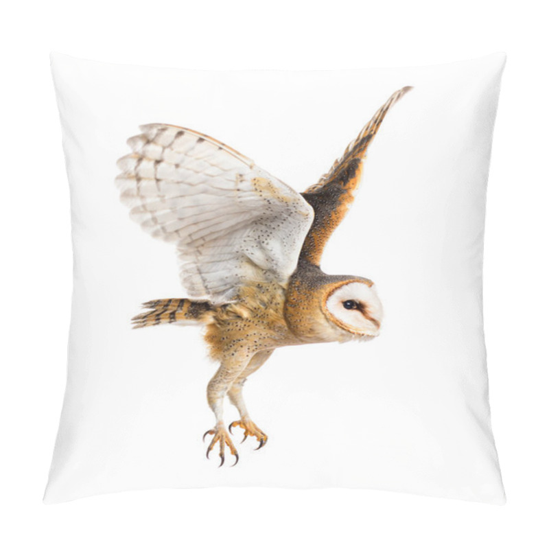 Personality  Side View Of A Barn Owl, Nocturnal Bird Of Prey, Flying Wings Spread, Tyto Alba, Isolated On Withe Pillow Covers