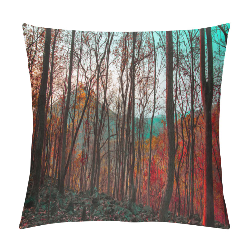 Personality  Forest Trees. Nature Green Wood Warm Tone Of Summer Season With Sunset And Mountain Background In Thailand  Pillow Covers