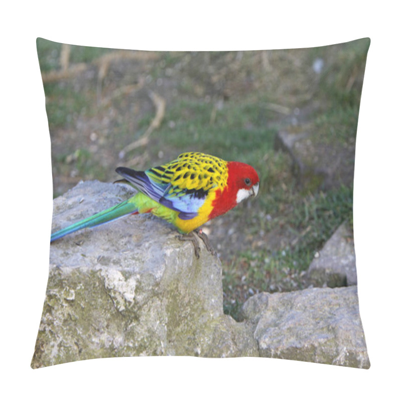 Personality  A Bird In The Zoo Pillow Covers