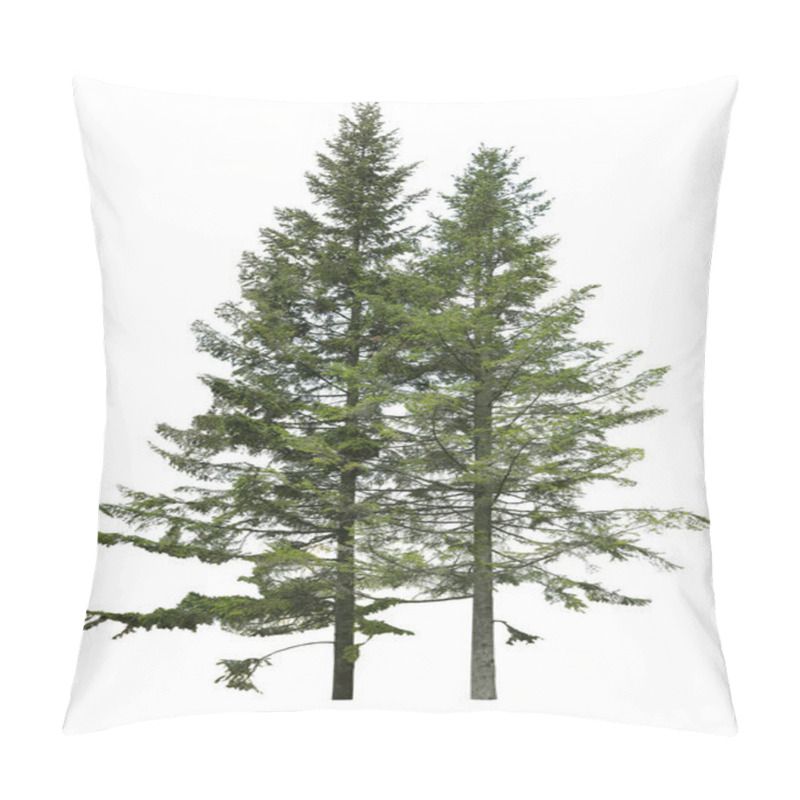 Personality  Beautiful Evergreen Fir Trees On White Background Pillow Covers