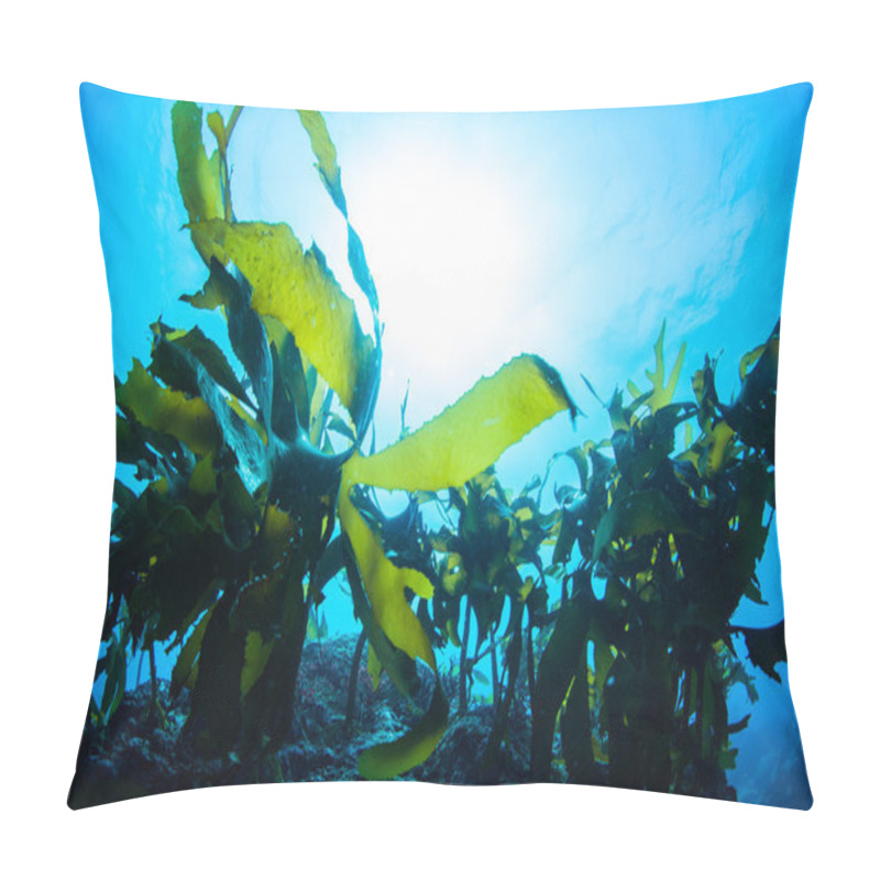 Personality  Forest Of Seaweed Pillow Covers