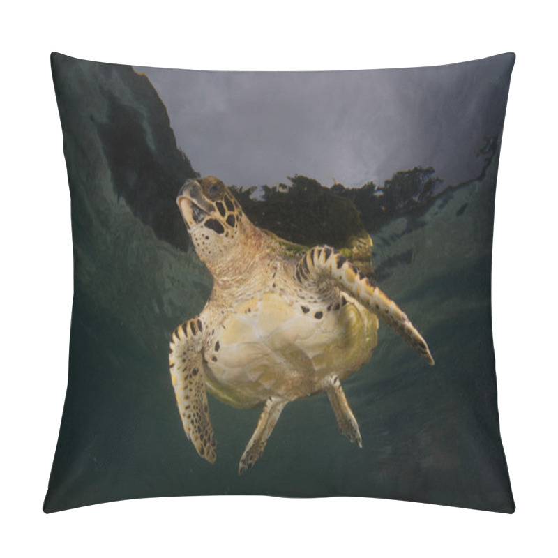 Personality  Dark Sky and Hawksbill Turtle in Shallow Water pillow covers