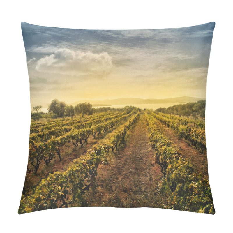 Personality  Vineyard Landscape Pillow Covers