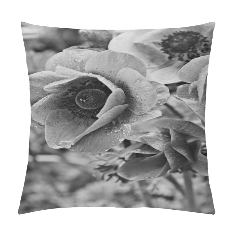 Personality  Lilac Poppies With Water Drops In Spring. In Black And White Ton Pillow Covers