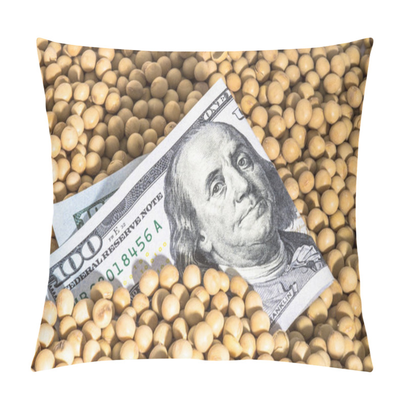 Personality  Agricultural Concept, Soybean At 100 Dollar Banknote Pillow Covers