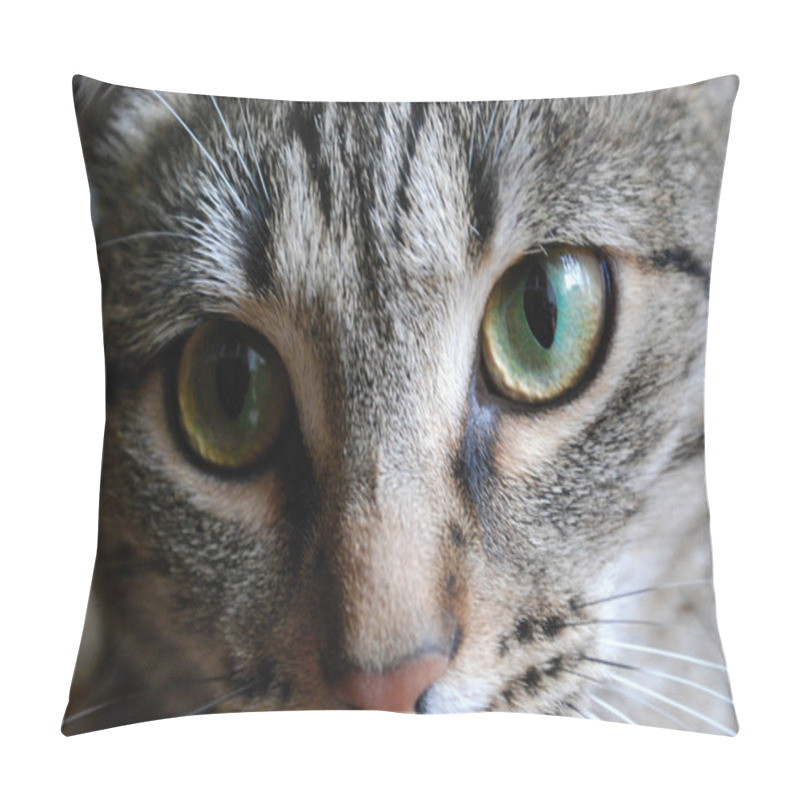 Personality  Cats Eyes Are Beautifull Pillow Covers