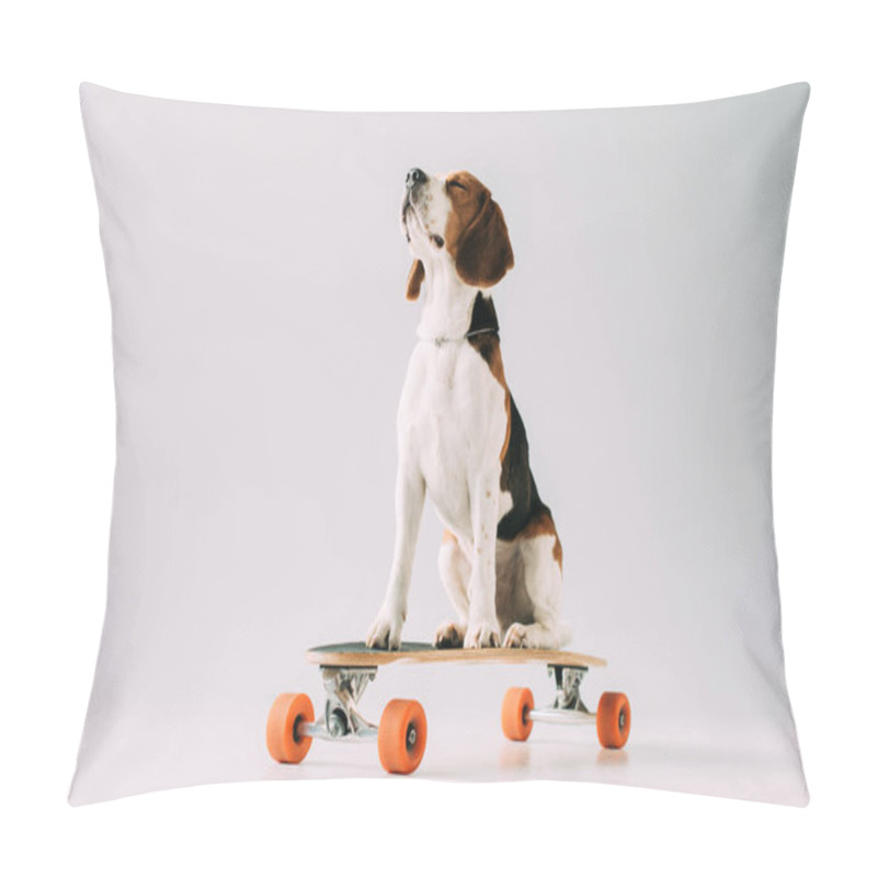 Personality  Cute Beagle Dog Sitting On Skateboard On Grey Background Pillow Covers