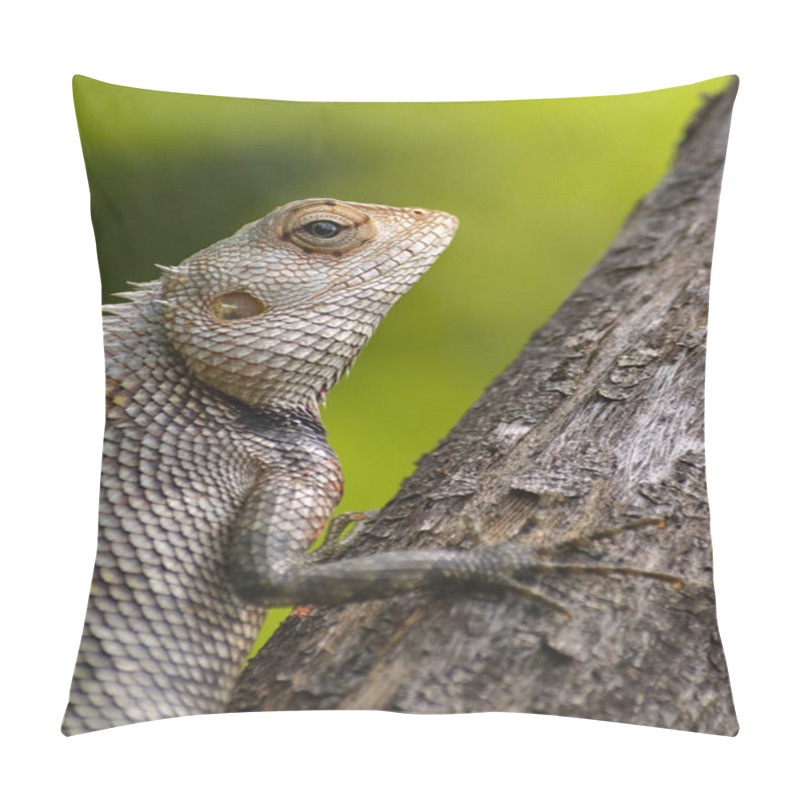 Personality  Lizard Sitting On A Tree Stump. Pillow Covers