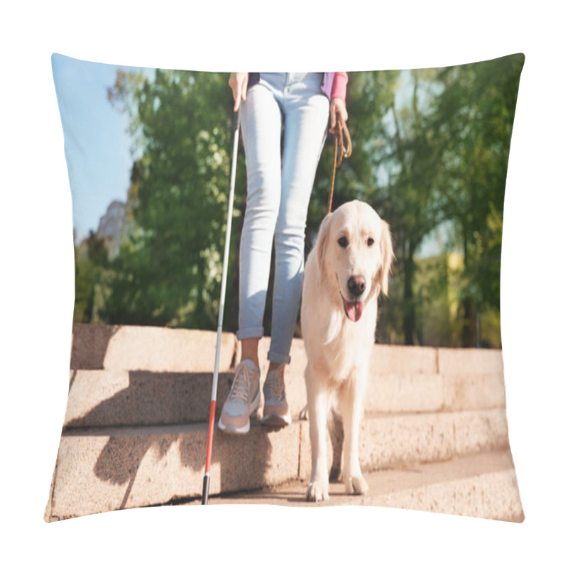 Personality  Guide Dog Helping Blind Person With Long Cane Going Down Stairs Outdoors Pillow Covers