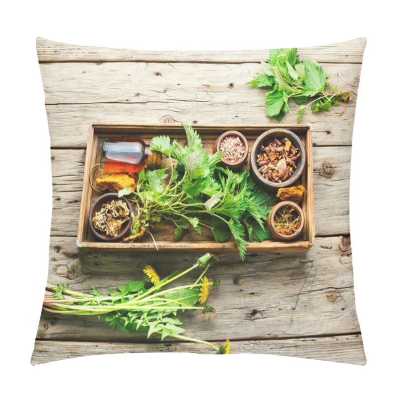 Personality  Set Of Fresh And Dry Healing Herbs And Medicinal Plants.Healing Herbs In A Wooden Box.Top View Pillow Covers