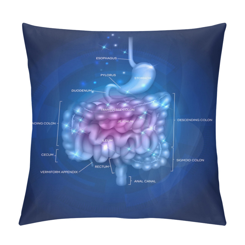 Personality  Gastrointestinal Tract Abstract Design Pillow Covers