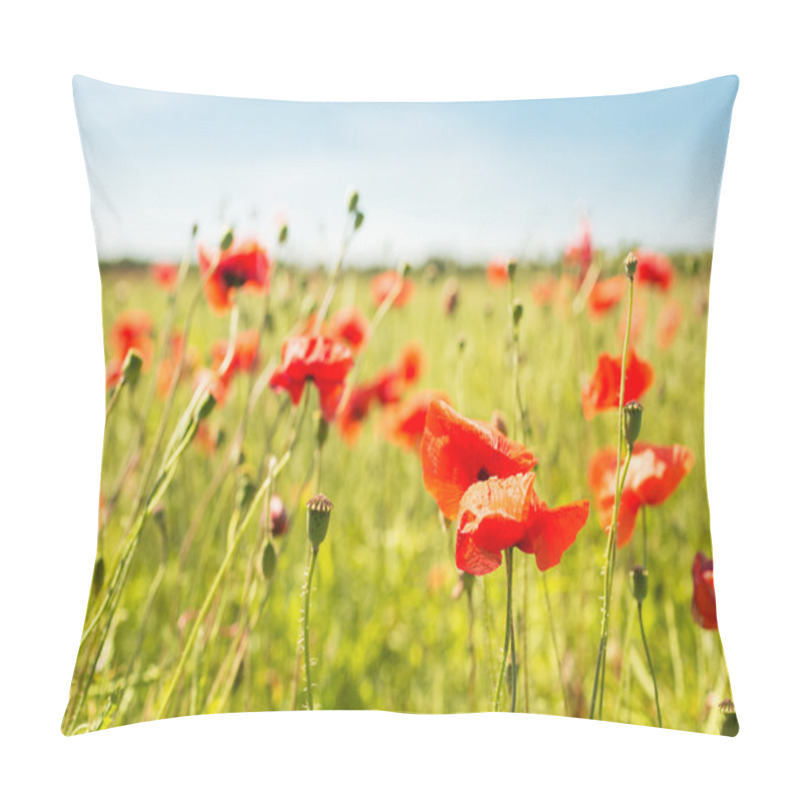 Personality  Summer Blooming Poppy Field Pillow Covers