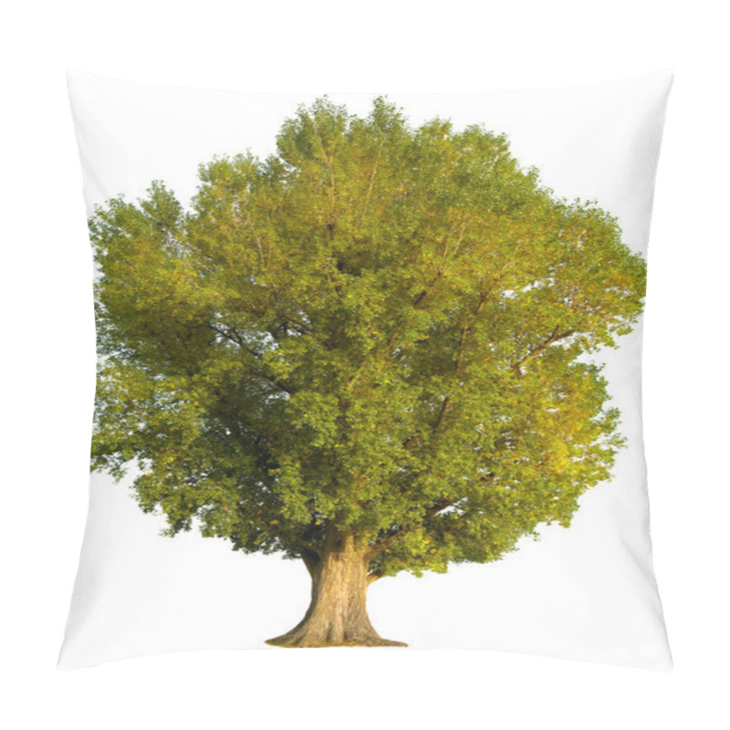 Personality  Poplar Tree Isolation Pillow Covers