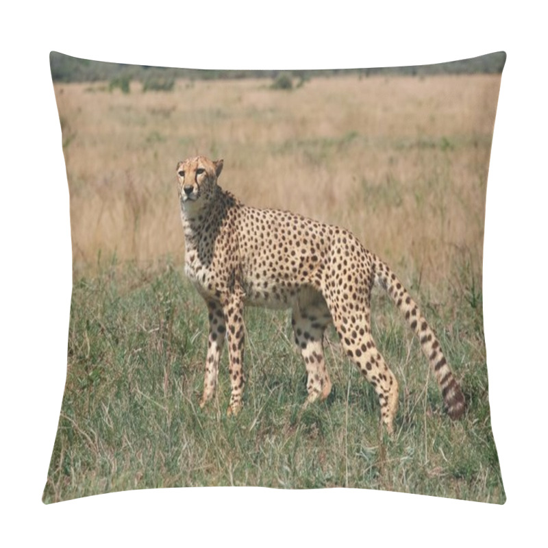 Personality  Wild Cheetah Outdoors In Nature. Pillow Covers