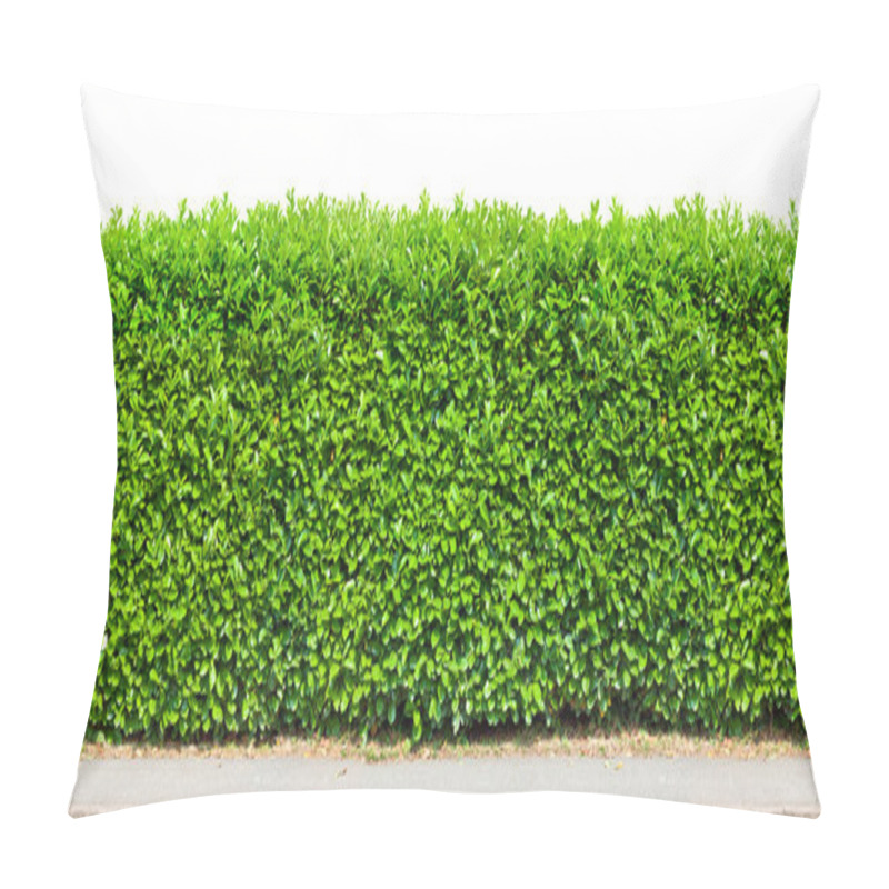 Personality  Tall Hedge Isolated Pillow Covers