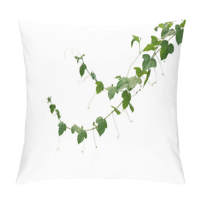 Personality  Wild Maracuja Or Bush Passion Fruit (Passiflora Foetida) Green Leaves Creeping Vines Ivy Plant Isolated On White Background, Clipping Path Included. Pillow Covers