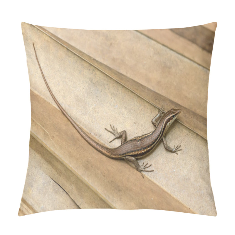 Personality  Seychelles Skink Endemic Species Pillow Covers