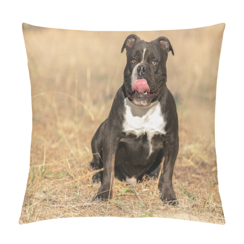 Personality  Young American Black And White Bully Outdoor Pillow Covers