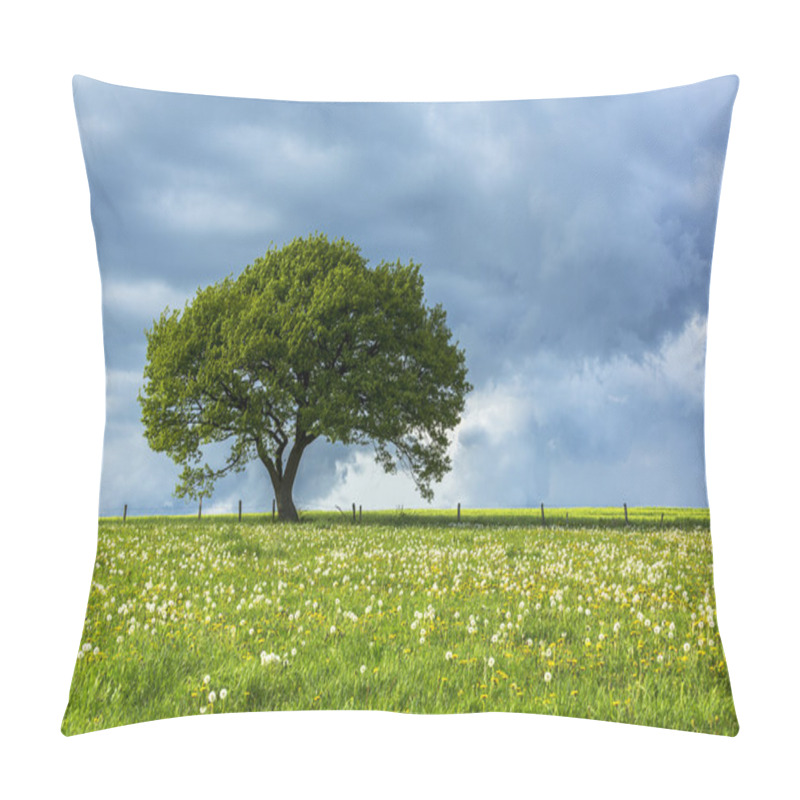 Personality  Oak Tree Old Eifel Clouds Hiking National Park Nrw Landscape Foliage Pillow Covers