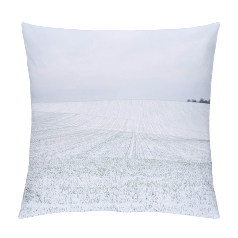 Personality  Wheat Field Covered With Snow In Winter Season. Winter Wheat. Green Grass, Lawn Under The Snow. Harvest In The Cold. Growing Grain Crops For Bread. Agriculture Process With A Crop Cultures. Pillow Covers