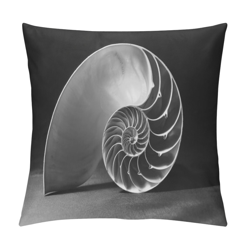 Personality  Black And White Nautilus Shell With Geometric Pattern Pillow Covers