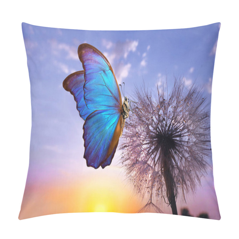 Personality  Natural Pastel Background. Morpho Butterfly And Dandelion. Seeds Of A Dandelion Flower In Drops Of Water On A Background Of Sunrise. Copy Spaces. Pillow Covers