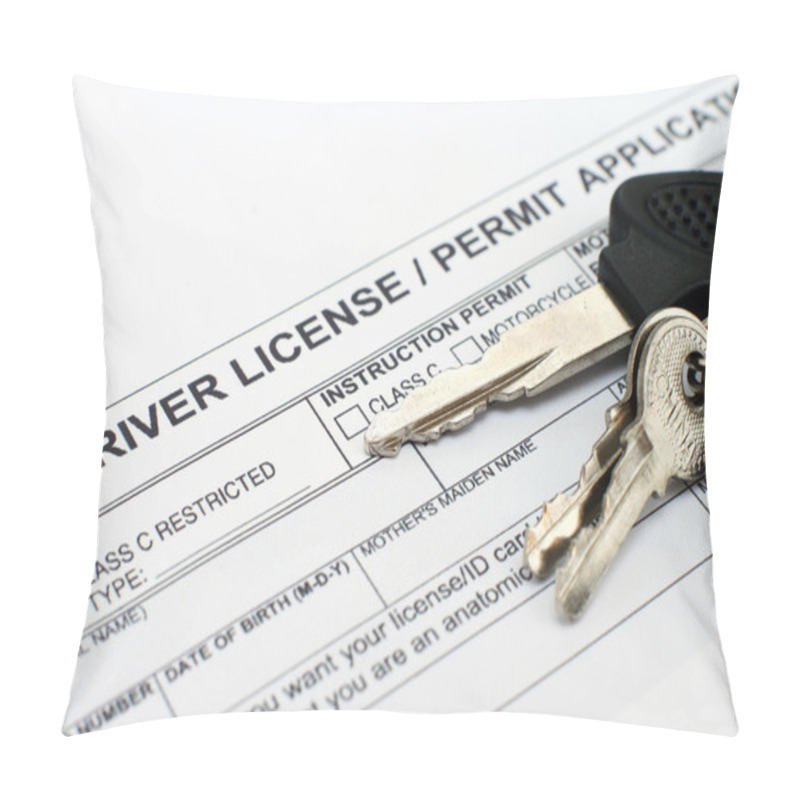 Personality  Driver License Application Pillow Covers