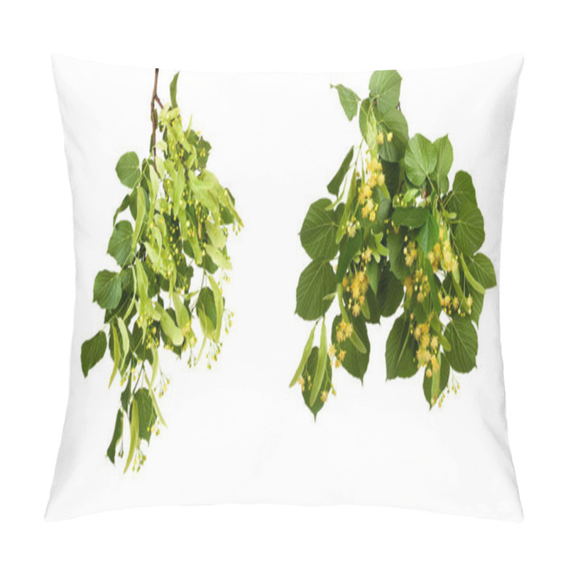 Personality  Set The Branch With Green Summer Leaves Isolated Pillow Covers