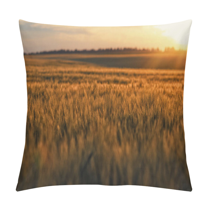 Personality  Magical Evening Atmosphere, Sunset View And Golden Wheat Field. Blurred Natural Horizon Background Pillow Covers