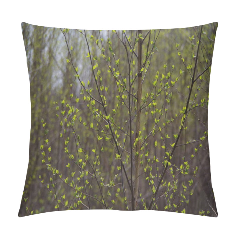 Personality  Spring In The Forest, Nature Comes To Life Pillow Covers