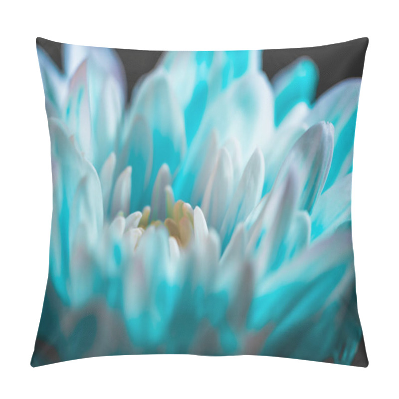 Personality  Close Up Of Blue And White Daisy Flower, On Black Pillow Covers