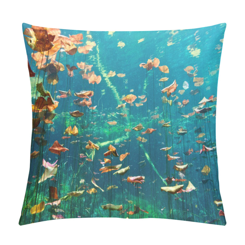 Personality  Cenotes Underwater Pillow Covers