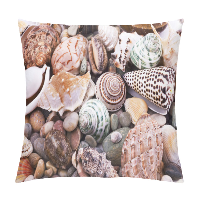 Personality  Various Seashells Pillow Covers