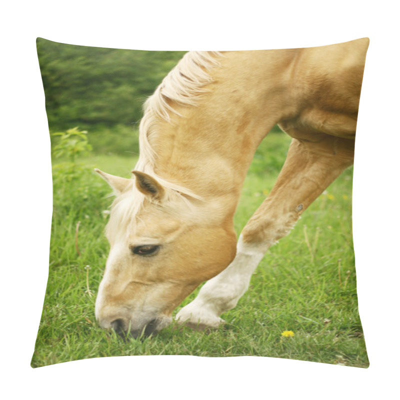 Personality  Horse Grazing Pillow Covers