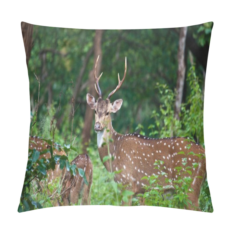 Personality  Wild Deer  Pillow Covers