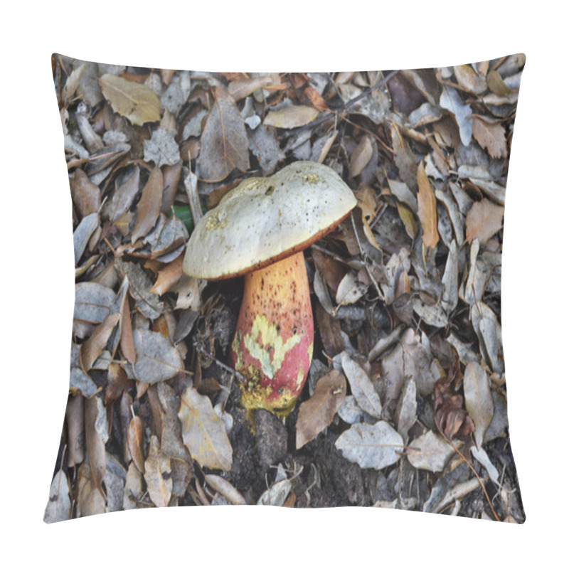 Personality   Ddevil's Bolete, Boletus Satanas Mushroom Is Growing In The Forest In Mallorca, Spain Pillow Covers